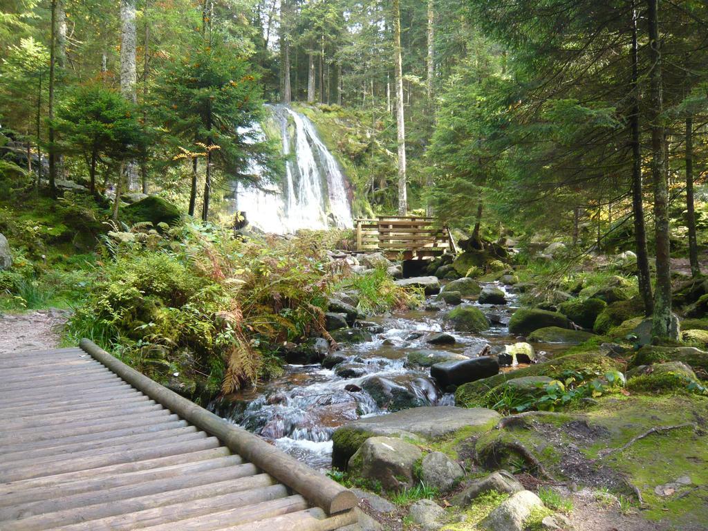 Chalet Luxe 12 Personnes Spa Sauna Vosges-Gerardmer Le Tholy Kültér fotó