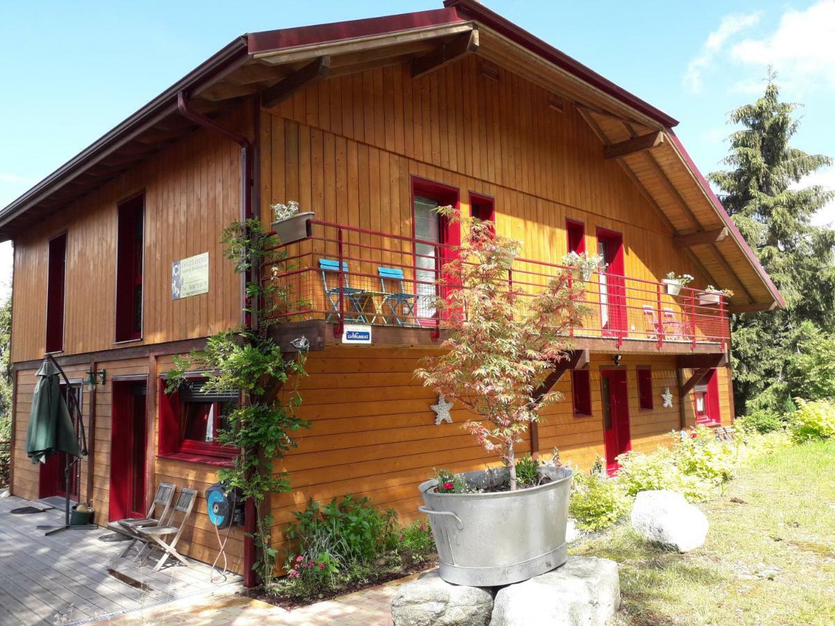 Chalet Luxe 12 Personnes Spa Sauna Vosges-Gerardmer Le Tholy Kültér fotó